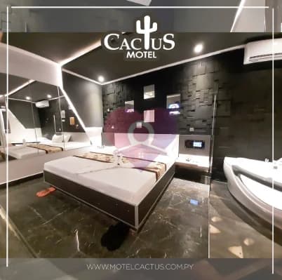 Habitación Cactus, foto 1